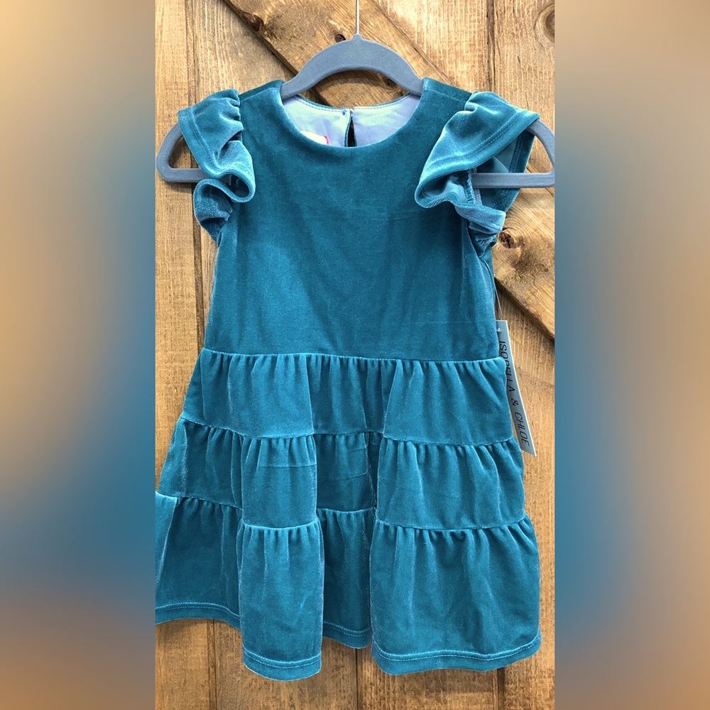 BNWT! Velvet and so cute!